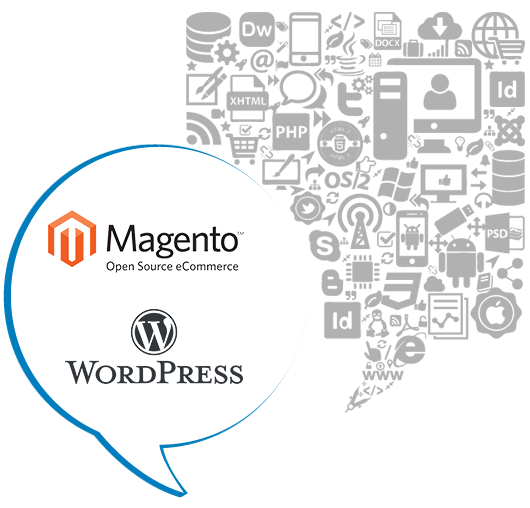 Best CMS Development company In India