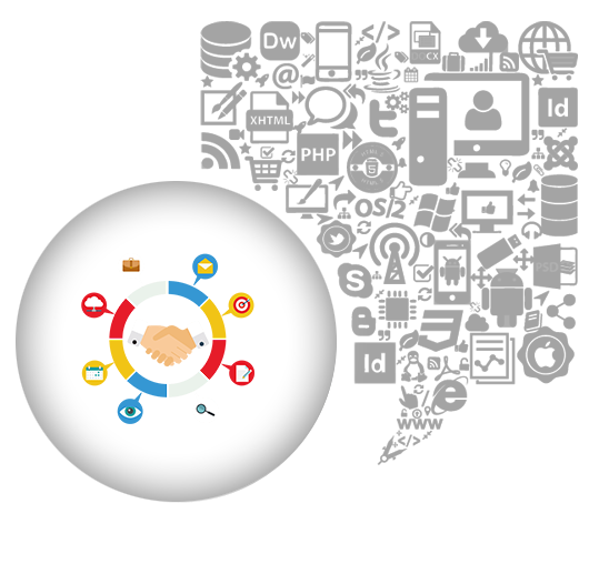 ERP and CRM System Company in India